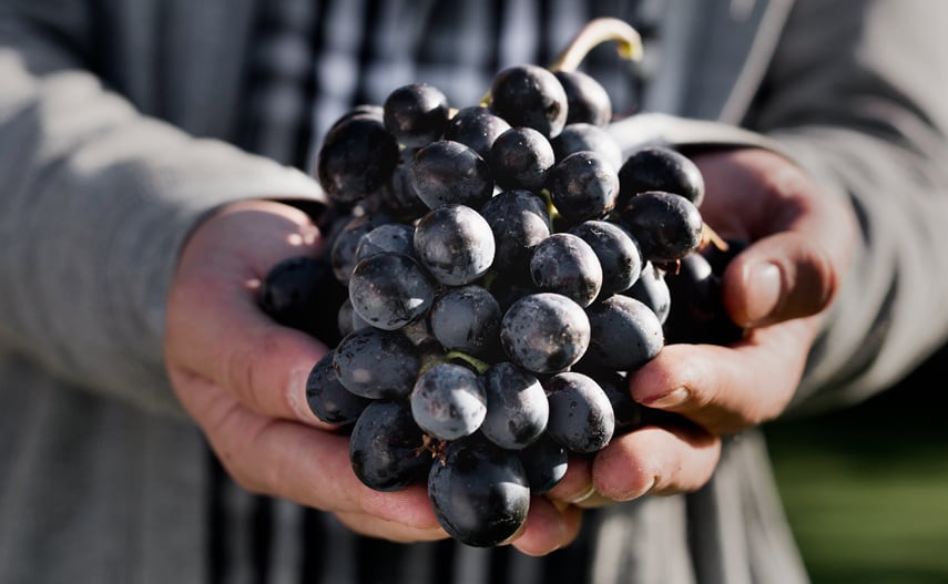 Abril, mes de la malbec